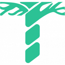 Talencee IT Solution Pvt. Ltd. Logo