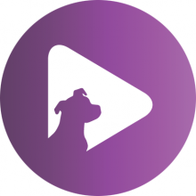 Rescue Media Logo