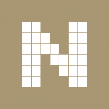 NETPROFIT Logo