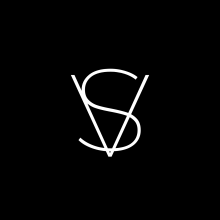 VisibleScale Logo