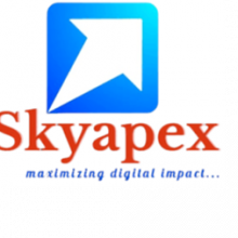 Skyapex Digital Marketing Agency LLP Logo