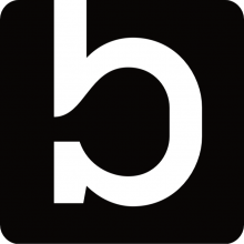 BrainSource Network Logo