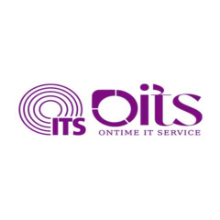 OnTime IT Service LLC Logo