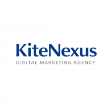 Kitenexus Logo