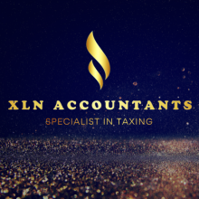 XLN Accountants Logo