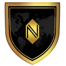 Nullcyberx (OPC) Pvt. Ltd. Logo