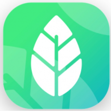 Color Leaves Logo