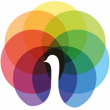 Peafowl IT Solution Logo