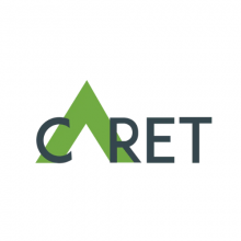Caret IT Solutions Logo