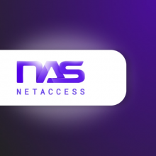 NetAccess Systems Logo