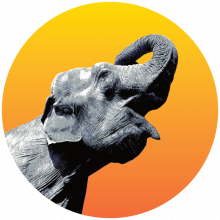 Radiant Elephant Logo