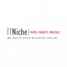IT Niche Logo