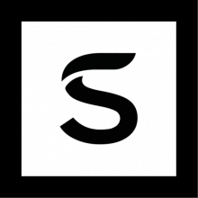 Sarvaswa AI Labs Logo