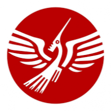 AEGONA LTD Logo