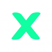 Execelion Solutions Logo
