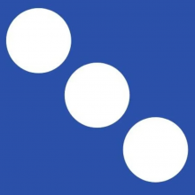 Digital Network Savvy Logo