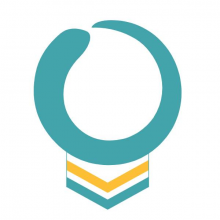 Proxpert Consulting Services Logo