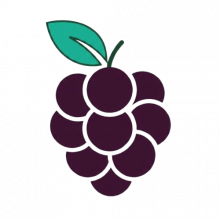 Berrynoon Logo
