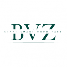 BVZ Dubai – Créer sa Société à Dubai Logo