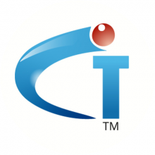 IT COMPANY Logo