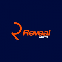 Reveal Marketing Group Logo