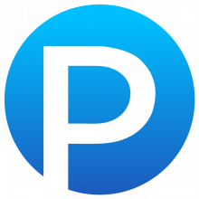 Play with PPC Logo