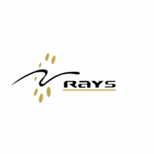 Rays TechServ Pvt Ltd Logo