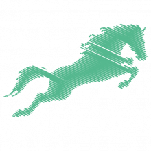 Maiden Stride Logo