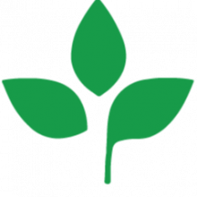 Green Leaf Logo
