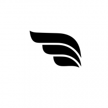 Flying Age Logo