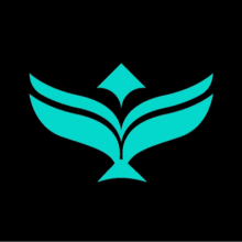 DevForge Technology Logo