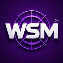 World Seo Marketing Logo