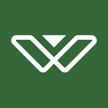 Whyte Team Logo
