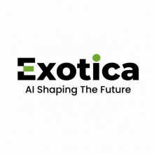 Exotica IT Solutions Logo