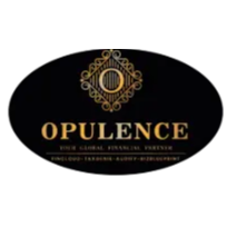 Opulence Accounting and Bookkeeping LLC Logo