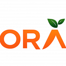 SMM ORANGE Logo