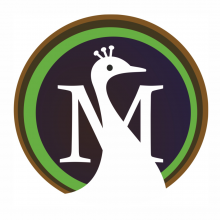 Moreweb Solutions Logo