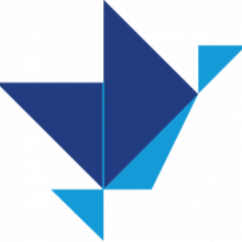 Nextwebi IT Solutions Pvt Ltd Logo