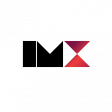 ImmersionX Logo