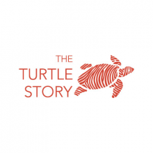 The Turtle Story Logo