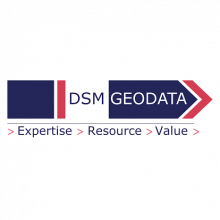 DSM Soft Logo