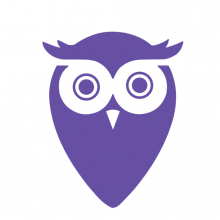 Local Owl by WisdmLab Logo