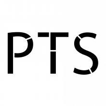 PTS Consulting Logo