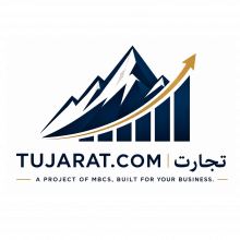 Mirsamir Business Consulting Services Logo