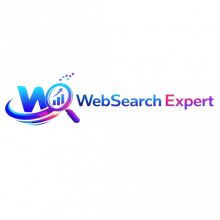 Web Search Expert Logo