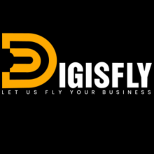 Digisfly Logo