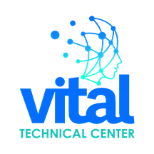 Vital Systems Engineering Logo