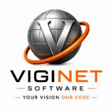 Viginet Software Pvt. Ltd Logo