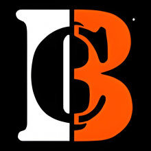 Brocus IT Solutions Pvt. Ltd. Logo