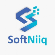 Softniiq Logo